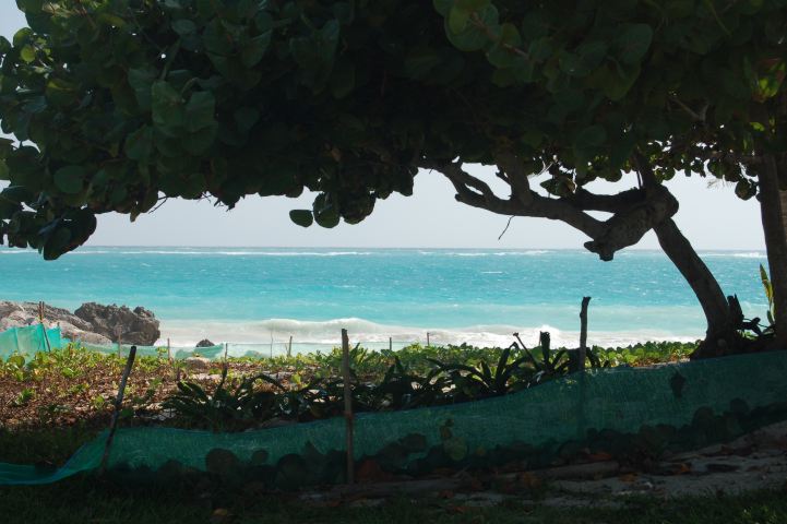 image, The Barrow Family