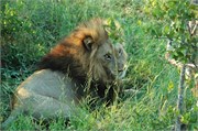 27_SoAfrica