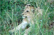 32_SoAfrica