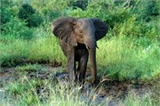 51_SoAfrica