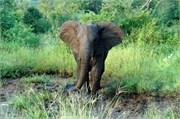 52_SoAfrica
