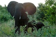 56_SoAfrica