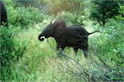57_SoAfrica