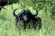 58_SoAfrica