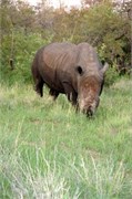 62_SoAfrica