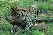 69_SoAfrica