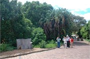 144_SoAfrica