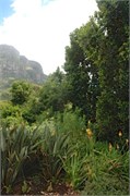 145_SoAfrica