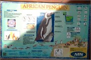 217_SoAfrica