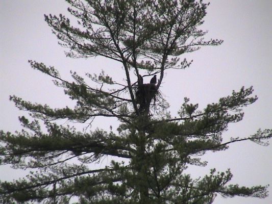 image, The Barrow Family