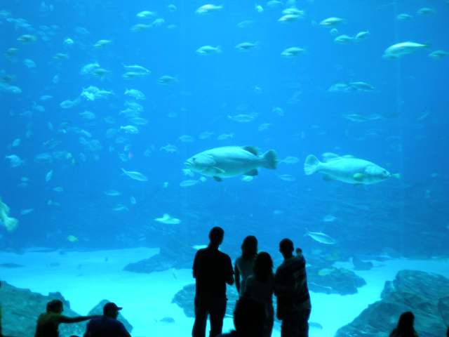 image, The Barrow Family