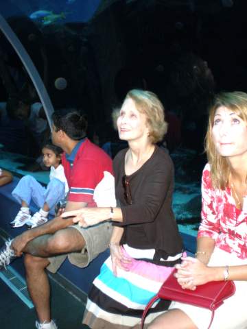 image, The Barrow Family