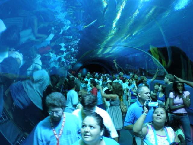 image, The Barrow Family