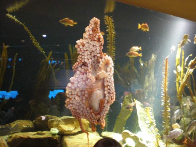 image, The Barrow Family