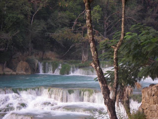 image, The Barrow Family