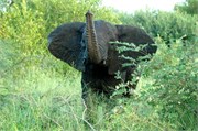 12_SoAfricaZimbabwe
