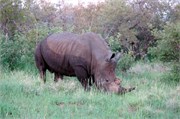 13_SoAfricaZimbabwe