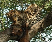 14_SoAfricaZimbabwe