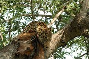 16_SoAfricaZimbabwe