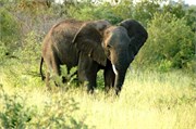 22_SoAfricaZimbabwe