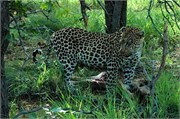 24_SoAfricaZimbabwe