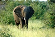 25_SoAfricaZimbabwe