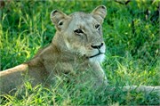 30_SoAfricaZimbabwe