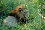 7_SoAfricaZimbabwe