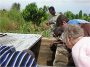 MangoFarm_11