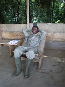 MangoFarm_12