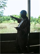 MangoFarm_6