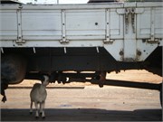 FerryToAframPlains_1