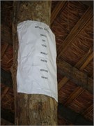 MaameKrobo_6