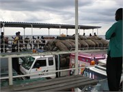 FerryHome_3