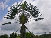 HealingCenter_1