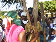 PalmOilProject_4