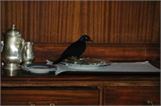 KirawiraTentedLodge15