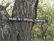 NabbiHill7