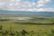 Norongoro35