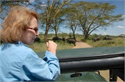 SafariFamily48