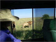 SafariFamily57