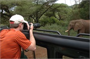 SafariFamily94