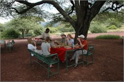 SafariFamily95