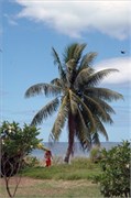 BoraBora_DSC_6968