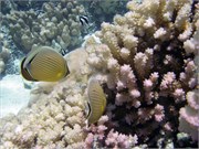 TaaMotu_IMGP1799