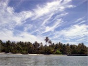 TaaMotu_IMGP1830