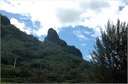 Moorea_DSC_7305