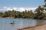 Moorea_DSC_7329
