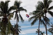 Moorea_DSC_7332