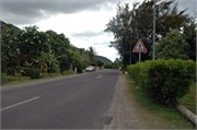 Moorea_DSC_7334
